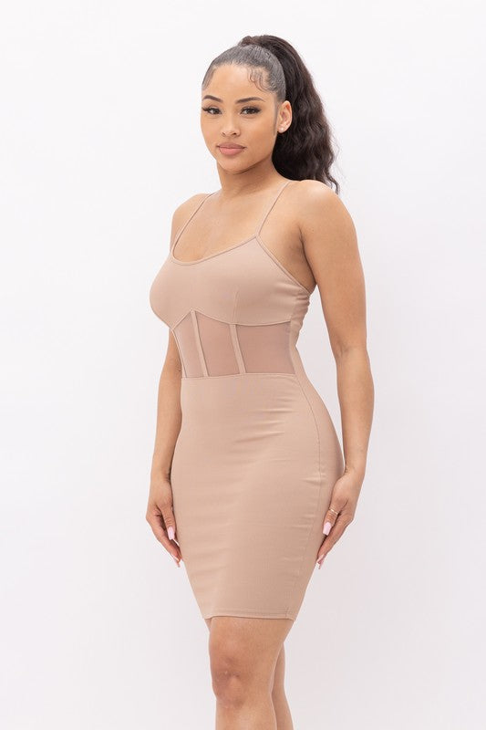 Maddy Mesh Dress